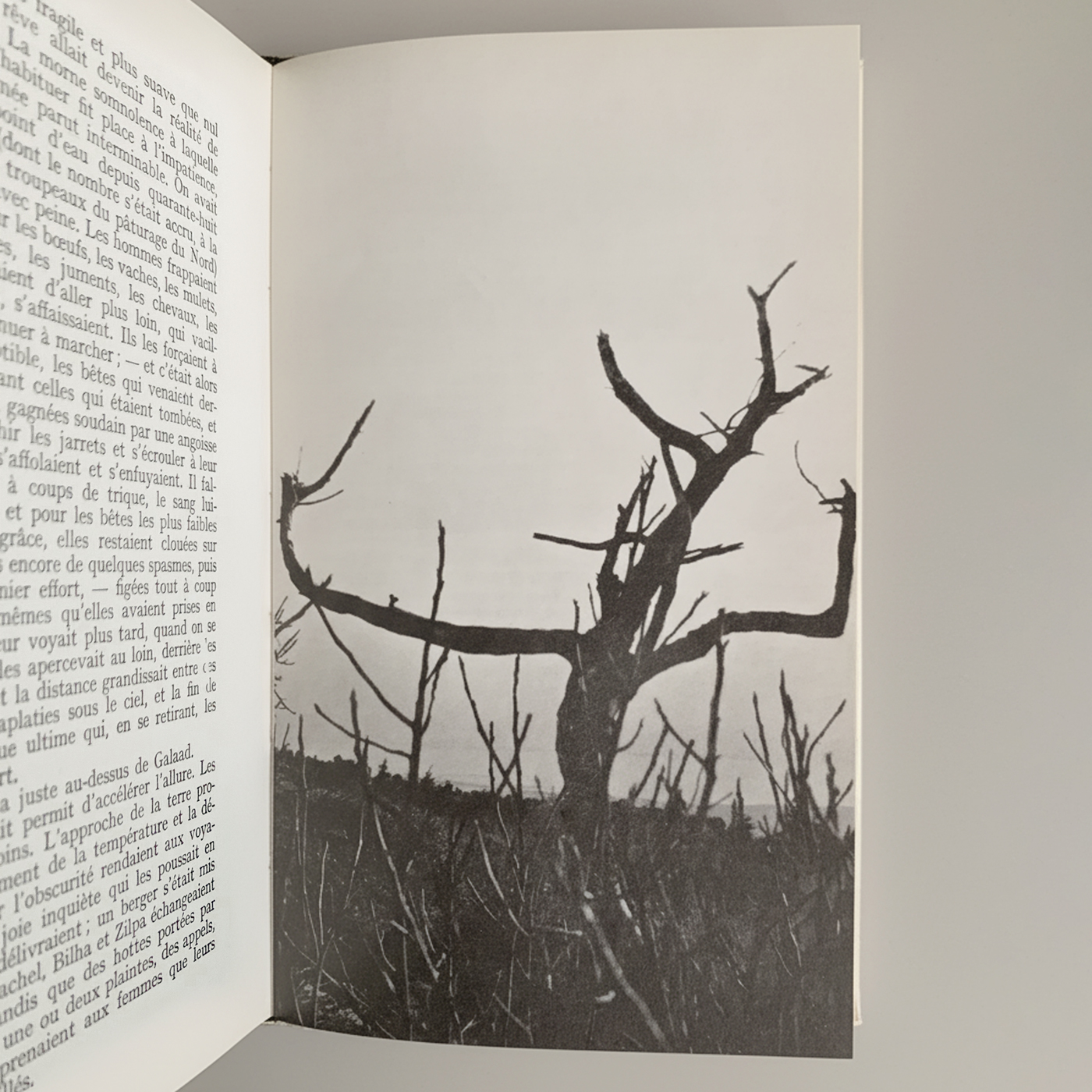 Saint Jacob - Image 4